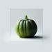 Summer Squash