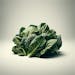 Collard Greens
