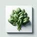 Spinach