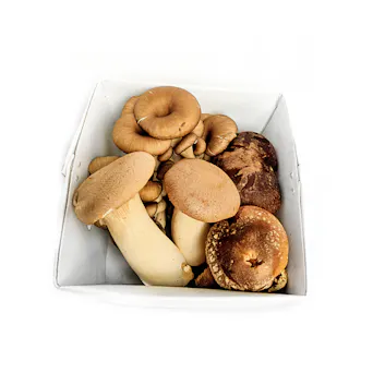 Shiitake Mushroom & Michigan Oyster Mix - Local Main Image