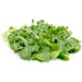 Arugula - Organic - Local Arugula - Organic - Local