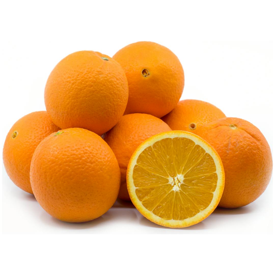 Navel Orange Large