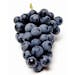 Purple Grapes (Concord) - Local Purple Grapes (Concord) - Local